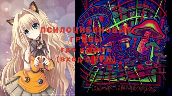 соль ск Кодинск